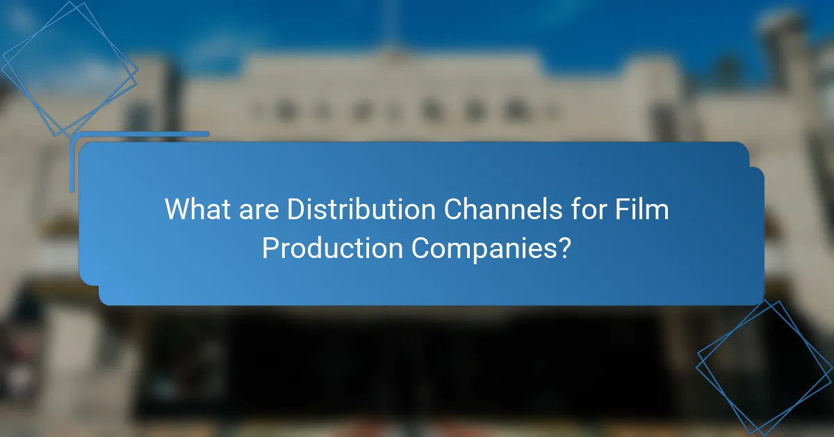 What are Distribution Channels for Film Production Companies?