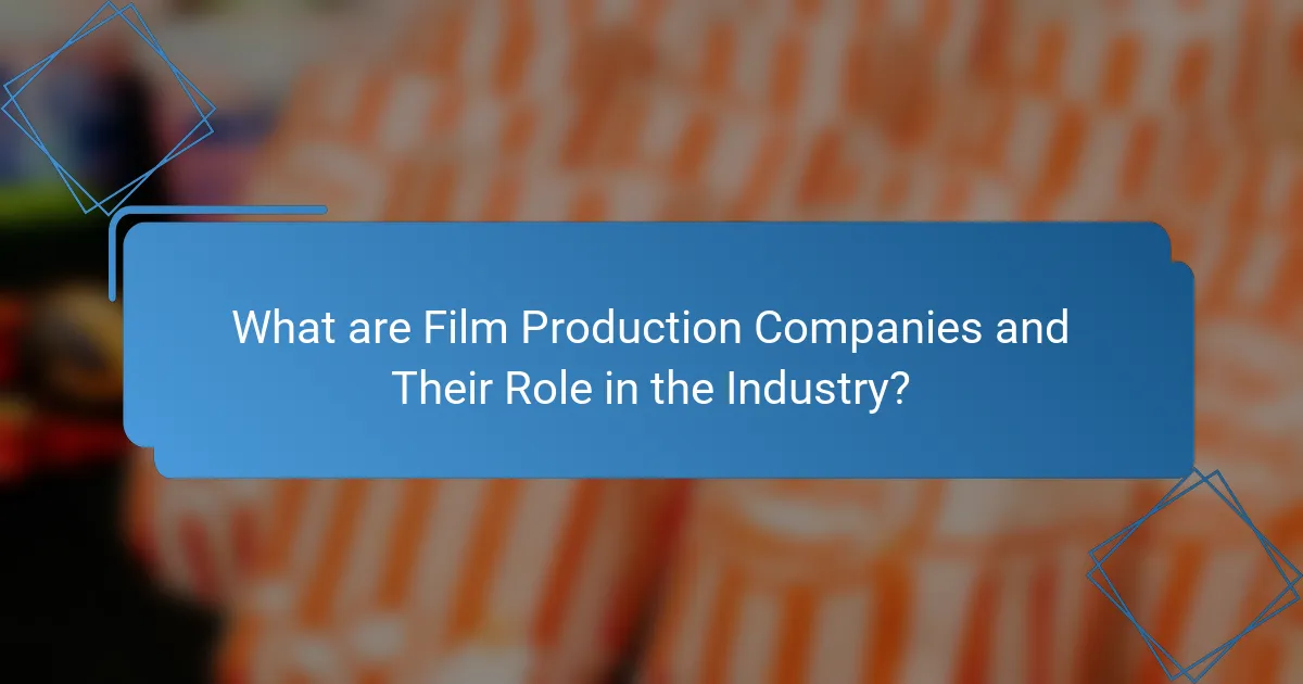 What are Film Production Companies and Their Role in the Industry?