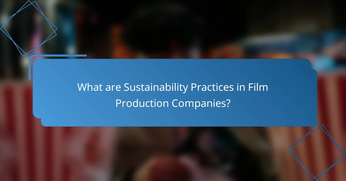 What are Sustainability Practices in Film Production Companies?