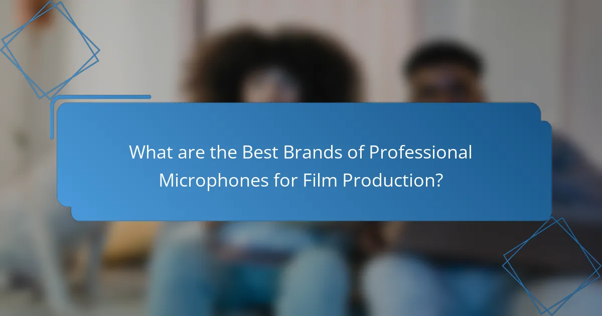 What are the Best Brands of Professional Microphones for Film Production?