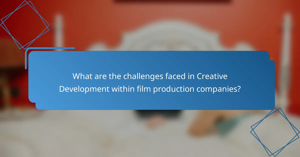 What are the challenges faced in Creative Development within film production companies?