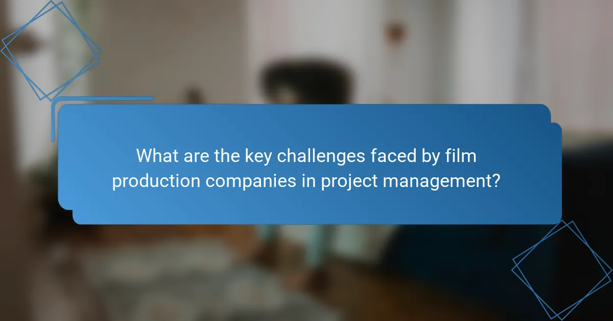 What are the key challenges faced by film production companies in project management?
