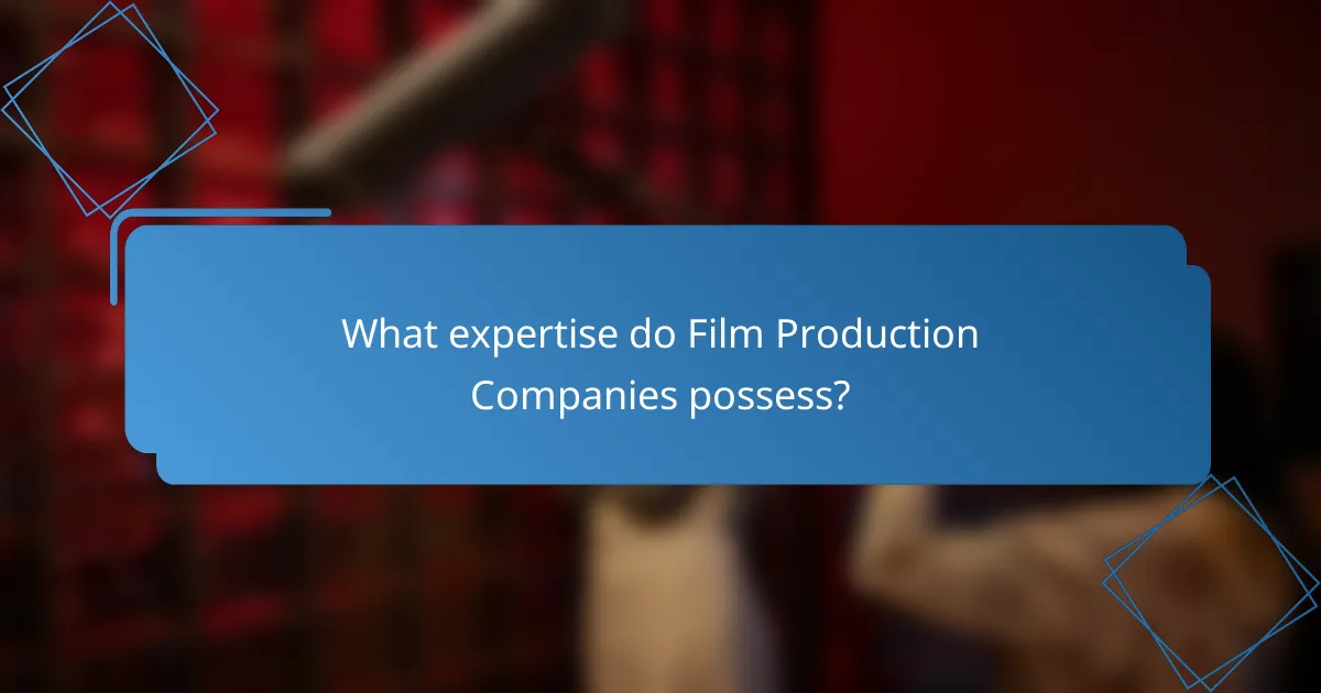 What expertise do Film Production Companies possess?