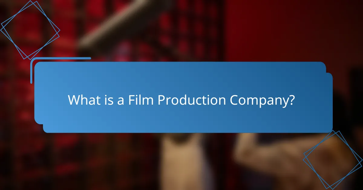 What is a Film Production Company?