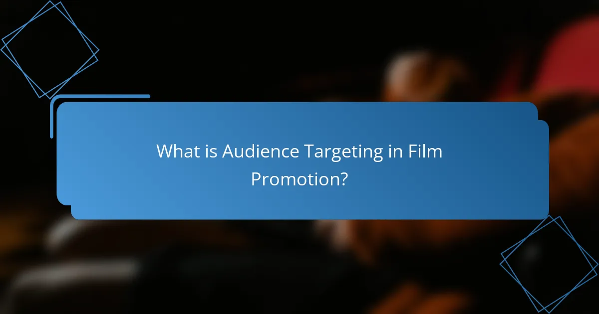 What is Audience Targeting in Film Promotion?