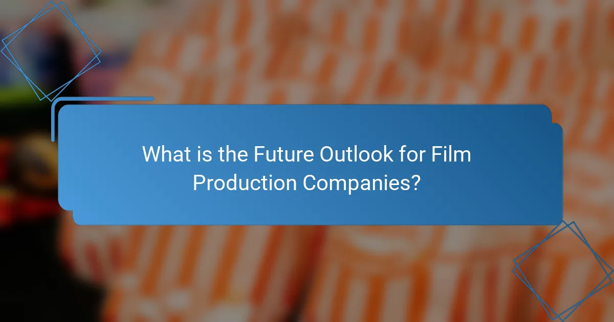What is the Future Outlook for Film Production Companies?
