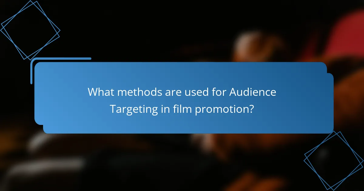 What methods are used for Audience Targeting in film promotion?