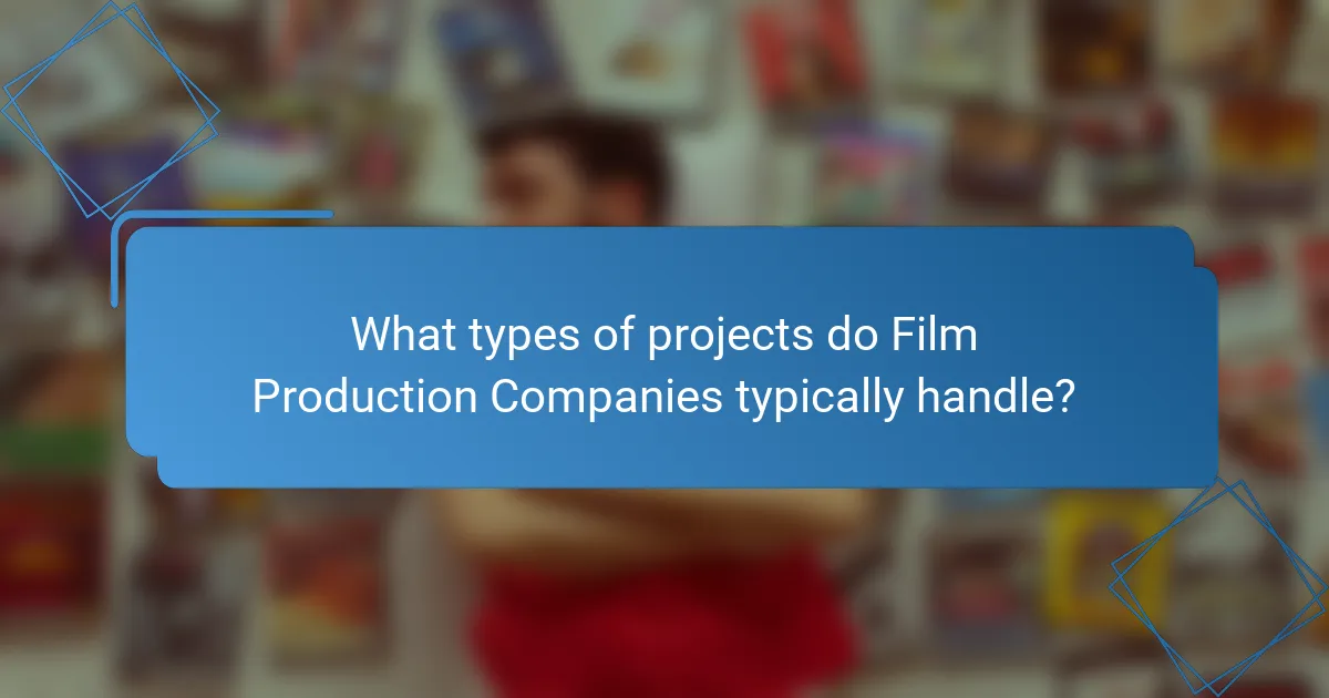 What types of projects do Film Production Companies typically handle?